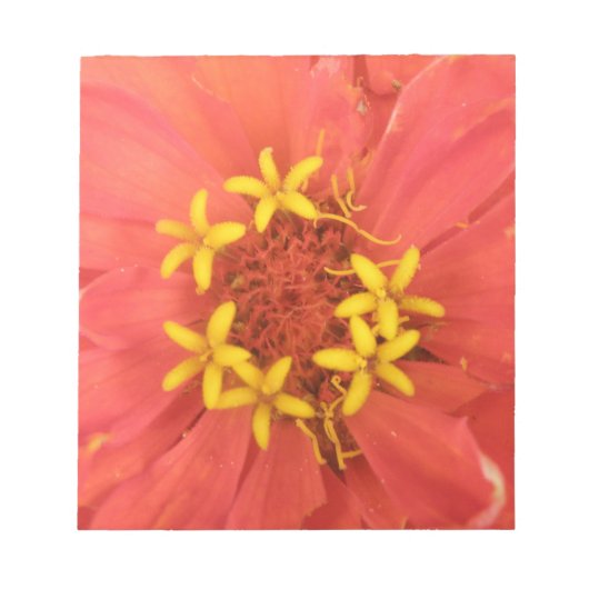 Red Zinnia Macro Blocnote (Voorkant)