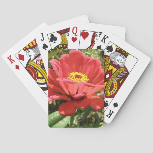 Red Zinnia-speelkaarten Speelkaarten (Achterkant)