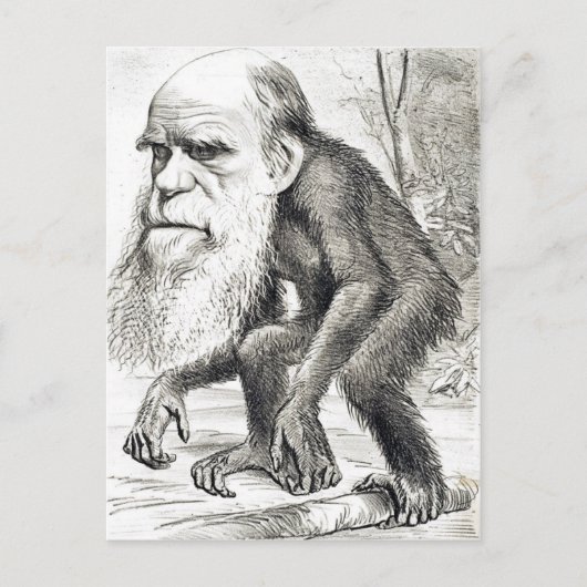 Redactionele Cartoon van Charles Darwin 1871 Briefkaart (Voorkant)