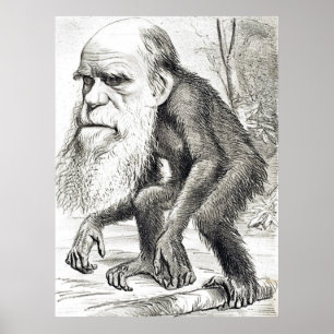 Redactionele Cartoon van Charles Darwin 1871 Poster