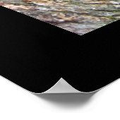 Redactionele levenslessen van een Kat Fine Art-pri Poster (Hoek)