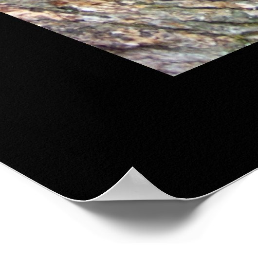 Redactionele levenslessen van een Kat Fine Art-pri Poster (Hoek)