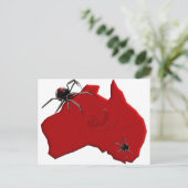 Redback Spider Australia Briefkaart (Staand voorkant)