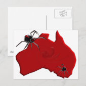 Redback Spider Australia Briefkaart (Voorkant / Achterkant)
