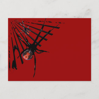 Redback Spider Briefkaart