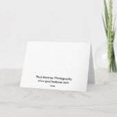 "Redbirds" op Draad Feestdagen Kaart (Achterkant)