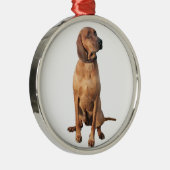Redbone Coon Hound (A) Metalen Ornament (Rechts)
