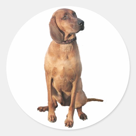 Redbone Coon Hound (A) Ronde Sticker (Voorkant)