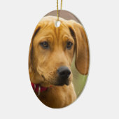 Redbone Coon Hound Dog Puppy Keramisch Ornament (Links)