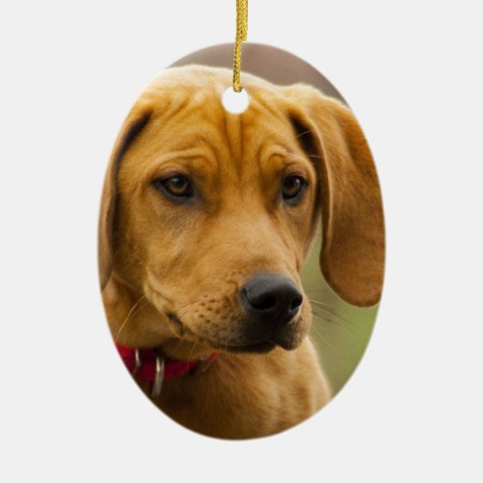 Redbone Coon Hound Dog Puppy Keramisch Ornament (Voorkant)