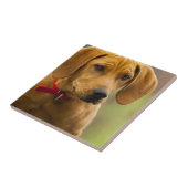 Redbone Coon Hound Dog Puppy Tegeltje (Zijkant)