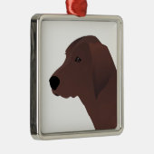 Redbone Coonhound Basic Breed  Ontwerp Metalen Ornament (Rechts)