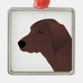 Redbone Coonhound Basic Breed Ontwerp Metalen Ornament (Voorkant)