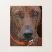 Redbone Coonhound Digging Legpuzzel (Verticaal)