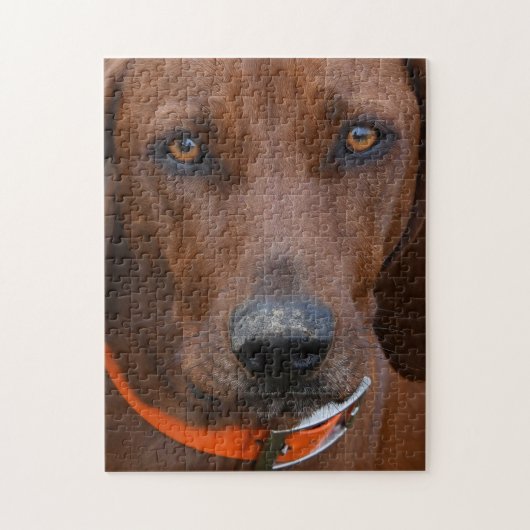 Redbone Coonhound Digging Legpuzzel (Verticaal)