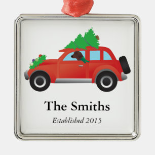 Redbone Coonhound Dog Drift een kerstauto Metalen Ornament