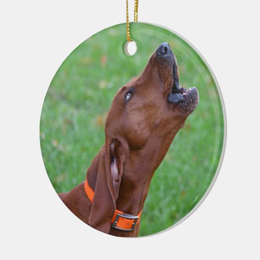 Redbone Coonhound Keramisch Ornament (Links)