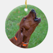 Redbone Coonhound Keramisch Ornament (Achterkant)