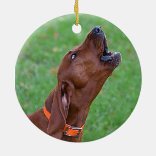Redbone Coonhound Keramisch Ornament (Achterkant)