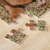 Redbone Coonhound puppy spelen met bladeren Legpuzzel (Zijkant)