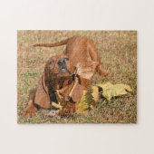 Redbone Coonhound puppy spelen met bladeren Legpuzzel (Horizontaal)