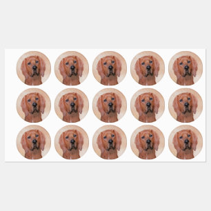 Redbone Coonhound-schildering - Kute Original Dog  Labels