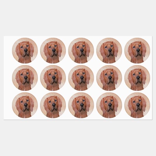 Redbone Coonhound-schildering - Kute Original Dog  Labels (Vel)