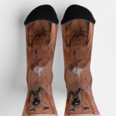 Redbone Coonhound-schildering - Kute Original Dog Sokken (Top)