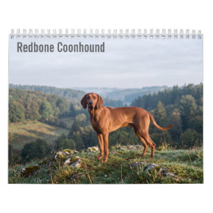 Redbone Coonhounds 2027 wandkalender Kalender