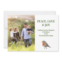 Redborst Robin Bird Modern Fotofoto