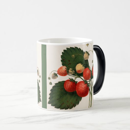  RedBoston Pine Strawberry Magische Mok (Voorkant rechts)