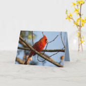 Redboy Watching Kaart (Gele Bloem)