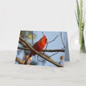 Redboy Watching Kaart (Voorkant)