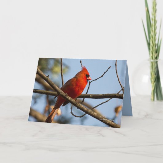 Redboy Watching Kaart (Voorkant)