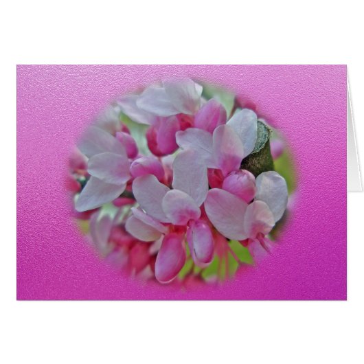 Redbud Blossom-items (Voorkant Horizontaal)