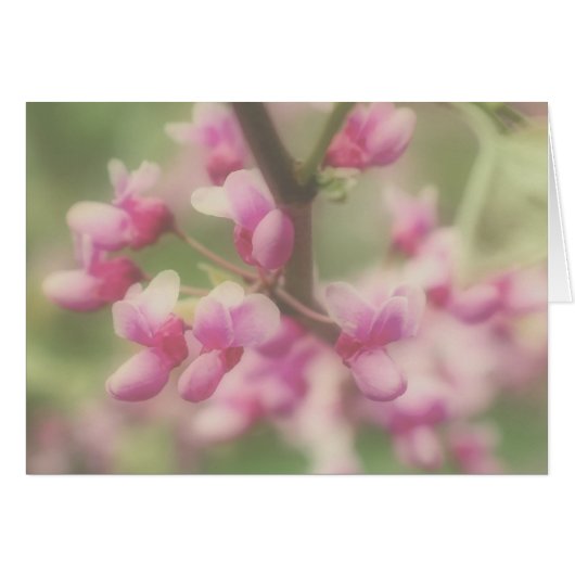 Redbud Blossom Note Card (Voorkant Horizontaal)
