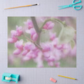Redbud Blossom Tissuepapier (Craft)