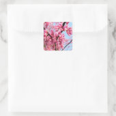Redbud Blossoms Stickers (Tas)