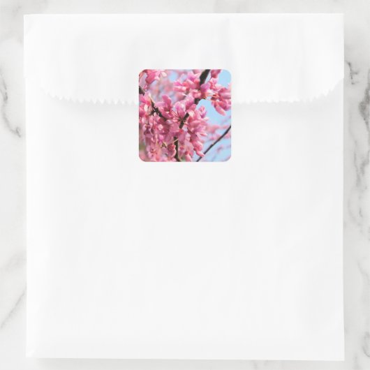 Redbud Blossoms Stickers (Tas)