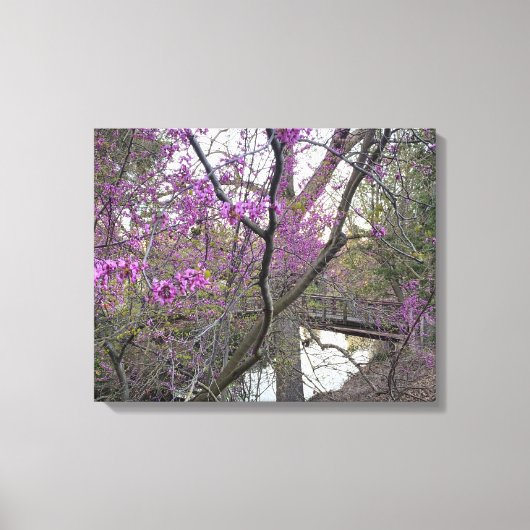 Redbud Bridge Canvas Afdruk (Voorkant)