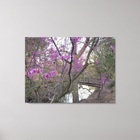 Redbud Bridge Canvas Afdruk (Voorkant)