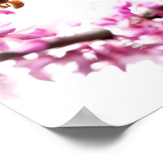 Redbud en honingbijen in Springtime Poster (Hoek)