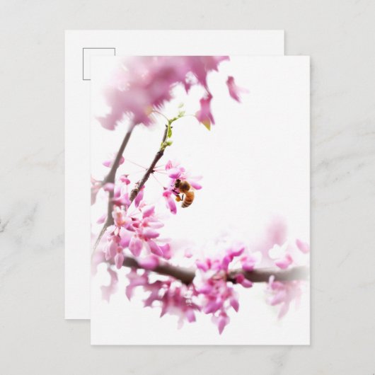 Redbud en honingbijen in Springtime Uitnodiging Briefkaart (Voorkant / Achterkant)
