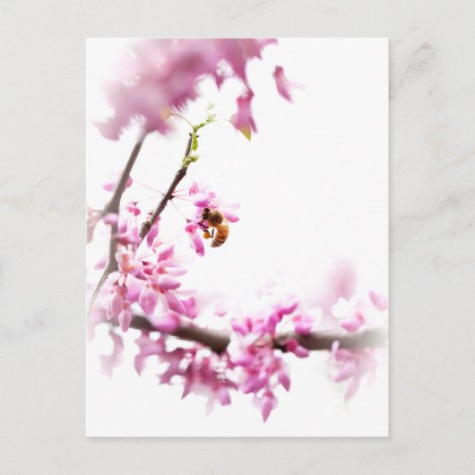 Redbud en honingbijen in Springtime Uitnodiging Briefkaart (Voorkant)