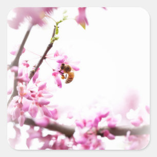 Redbud en honingbijen in Springtime Vierkante Sticker