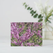 Redbud in Full Bloom Briefkaart (Staand voorkant)