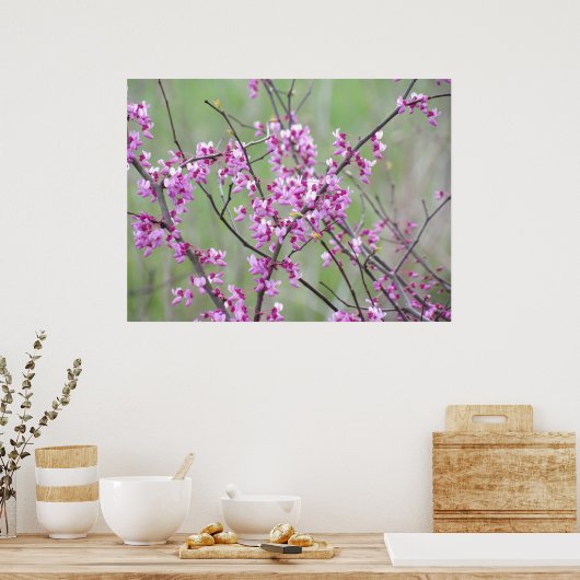 Redbud in het Pokagon State Park Poster (Keuken)