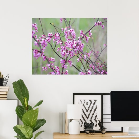 Redbud in het Pokagon State Park Poster (Thuiskantoor)