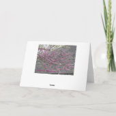 Redbud komt de Verheugende Lente tot bloei Kaart (Achterkant)