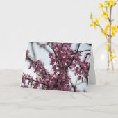 Redbud komt de Verheugende Lente tot bloei Kaart (Gele Bloem)